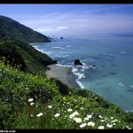 coast beach sand cliff picture