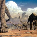 Sauropod dinosaurs wallpaper