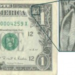 owl dollar picture