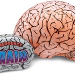 free download brain picture