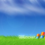 grass background picture