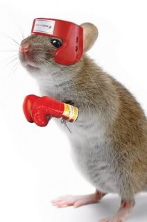 3d funny mouse picture