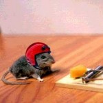 funny mouse on table picture