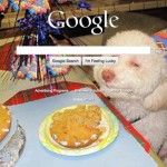 nice google background picture