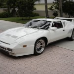 simple mangusta picture