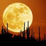 full moon picture