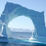 cute iceberg picture