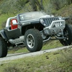 jeep on grass picture