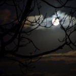 moonlight ireland wallpaper