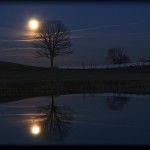night moonlight picture