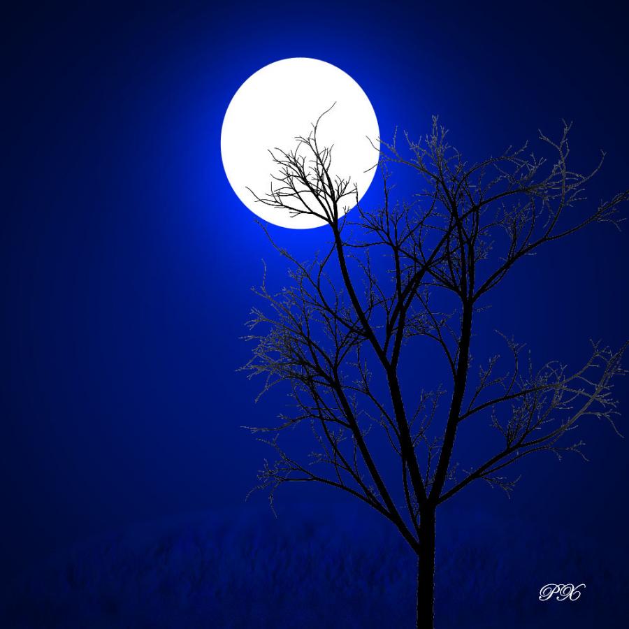 cute moonlight  picture