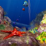 colorful fish ocean picture