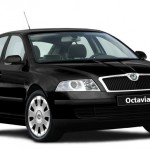 octavia skoda picture