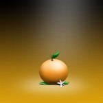 orange fruit wallpaper