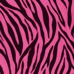 nice zebra wallpaper