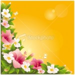 yellow flower wallpaper