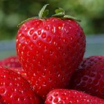 fresh strawberry picture