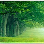 green tree desktop wallpaper