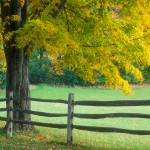 split rail fence background wallpaper