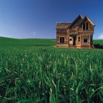 grass house wallpaper