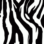 top zebra picture