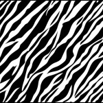 zebra wallpaper background