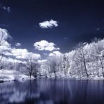 dark winter background picture