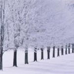 snow winter background picture