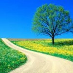 free download spring backgrounds picture
