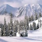 top winter background picture