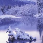 purple winter background picture