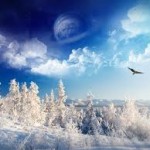 nice winter background picture