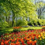 3d spring backgrounds picture