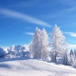 snow winter background picture