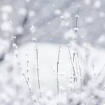 snow winter wallpaper