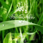 leaves hd islamic wallpaper