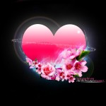 heart hd love wallpaper