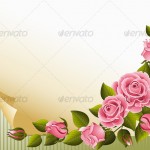 nice rose background