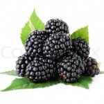 top blackberry fruit wallpaper