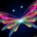 3d butterfly wallpaper