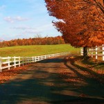 nature autumn desktop wallpaper