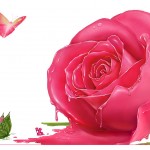 art pink rose wallpaper
