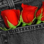 cool red rose wallpaper