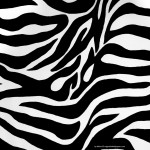 art zebra wallpaper hd