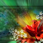 colored free wallpaper download