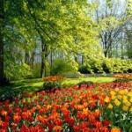 wonderful free spring wallpaper