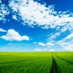 grass sky wallpaper hd