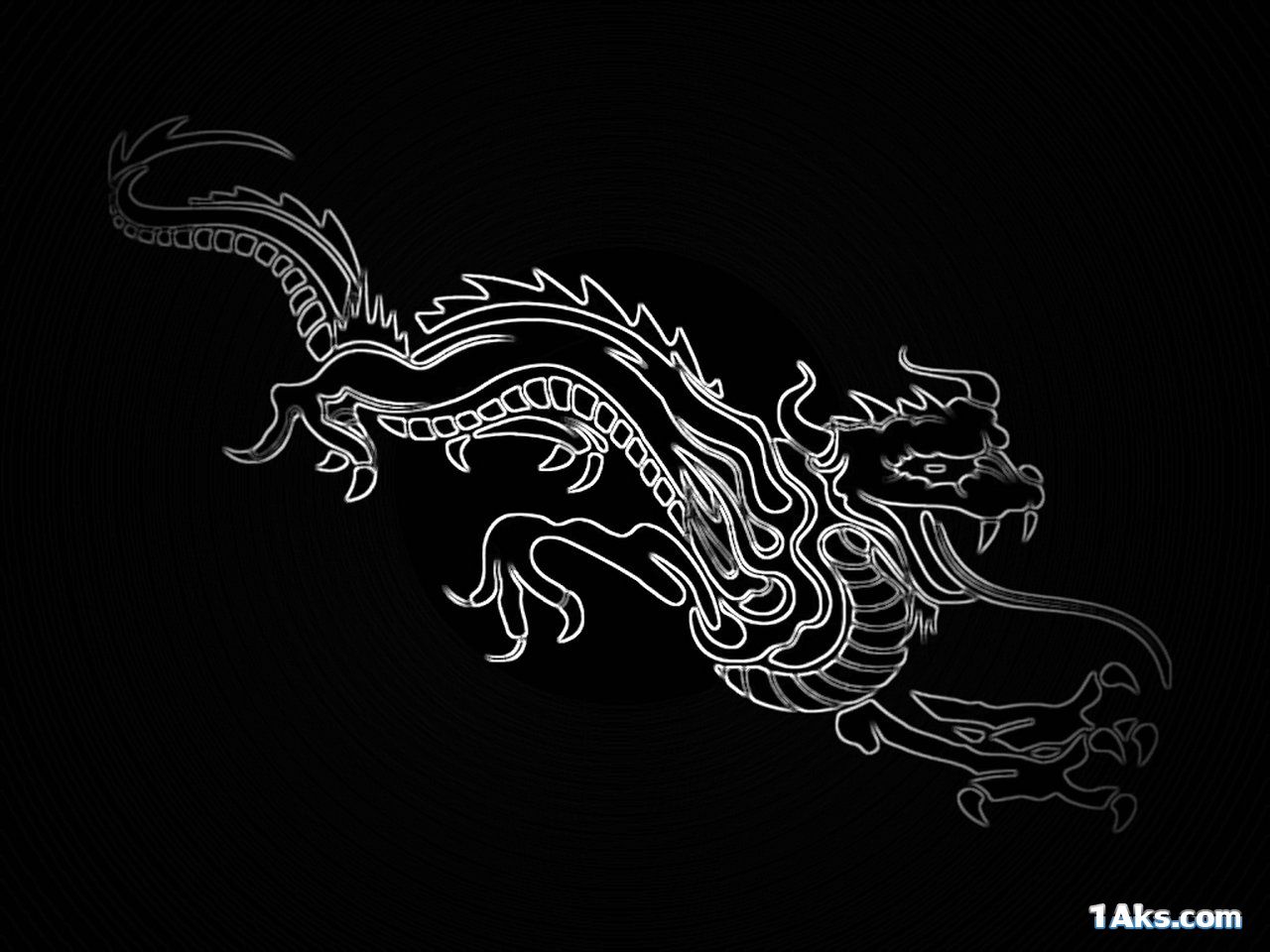 nice dragon wallpaper