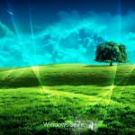 nature animated background