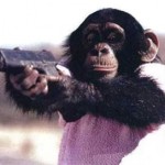awesome monkey photo